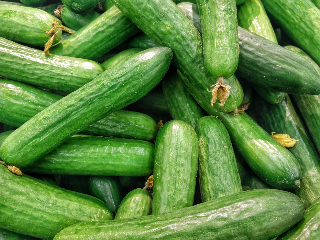 Cucumber: Crunchy and Cooling (image credits: unsplash)