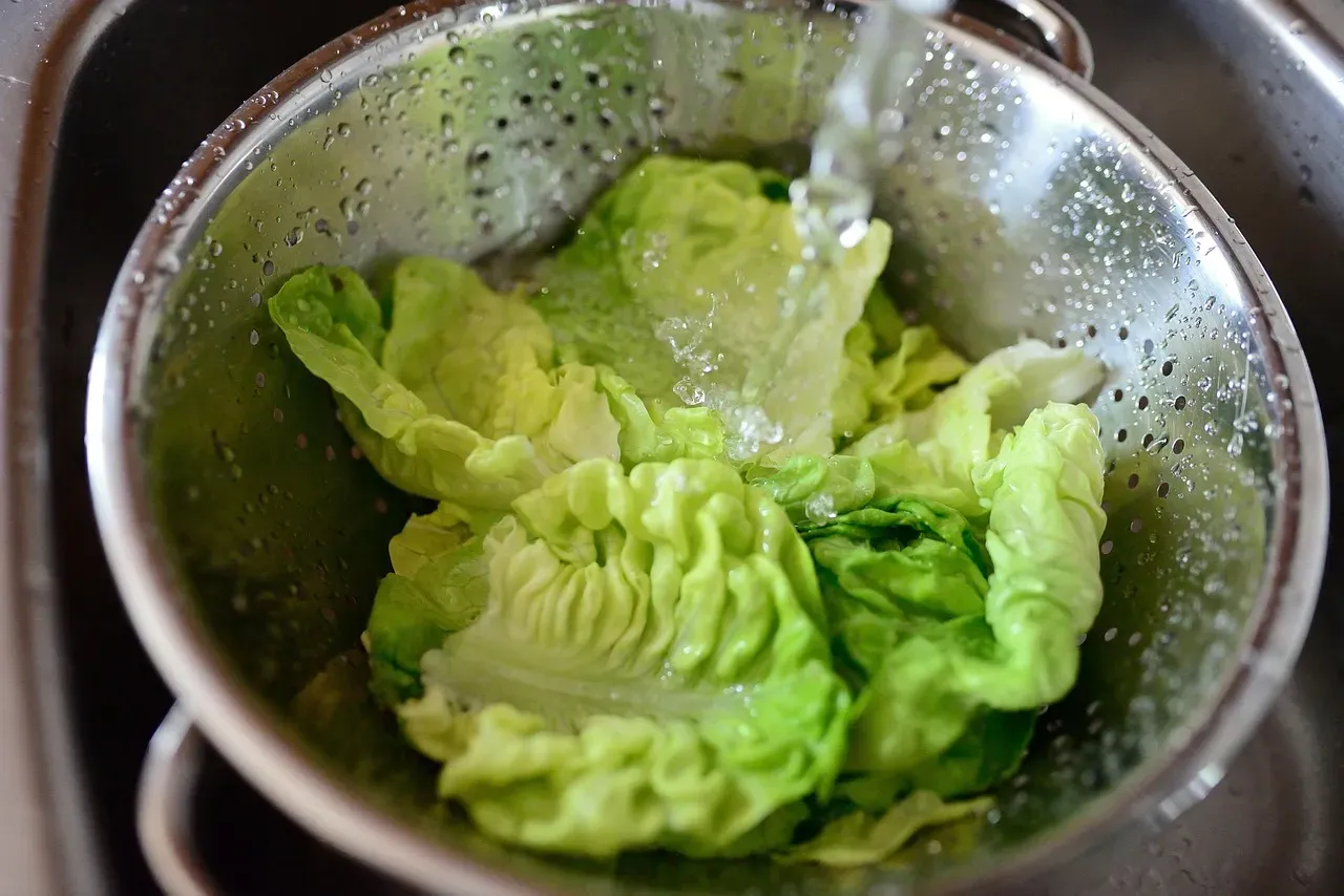 Rewashing Pre-Washed Bagged Greens and Actually Making Them Less Safe (Image Credits: Pixabay)
