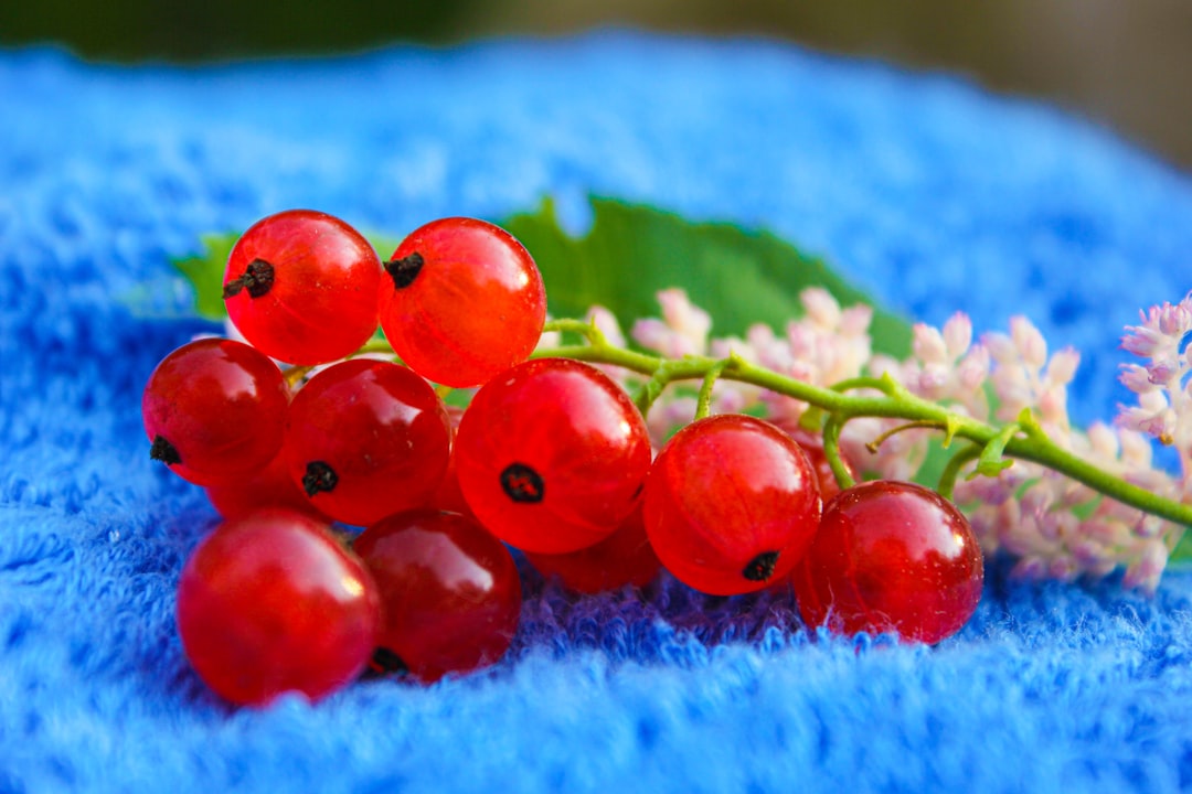 Polyphenol-Rich Berries: The Antioxidant Army (image credits: unsplash)