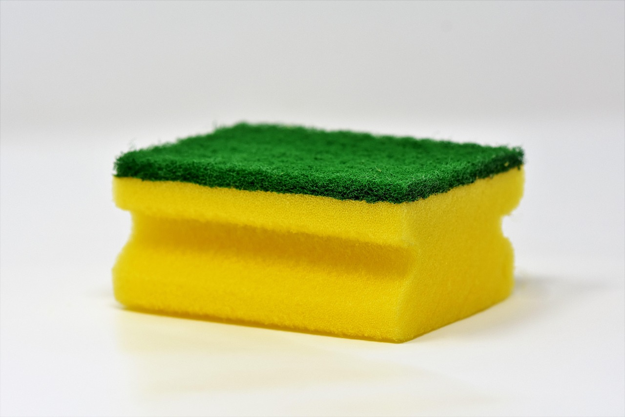 Using Sponges for Weeks Without Sanitizing (image credits: pixabay)