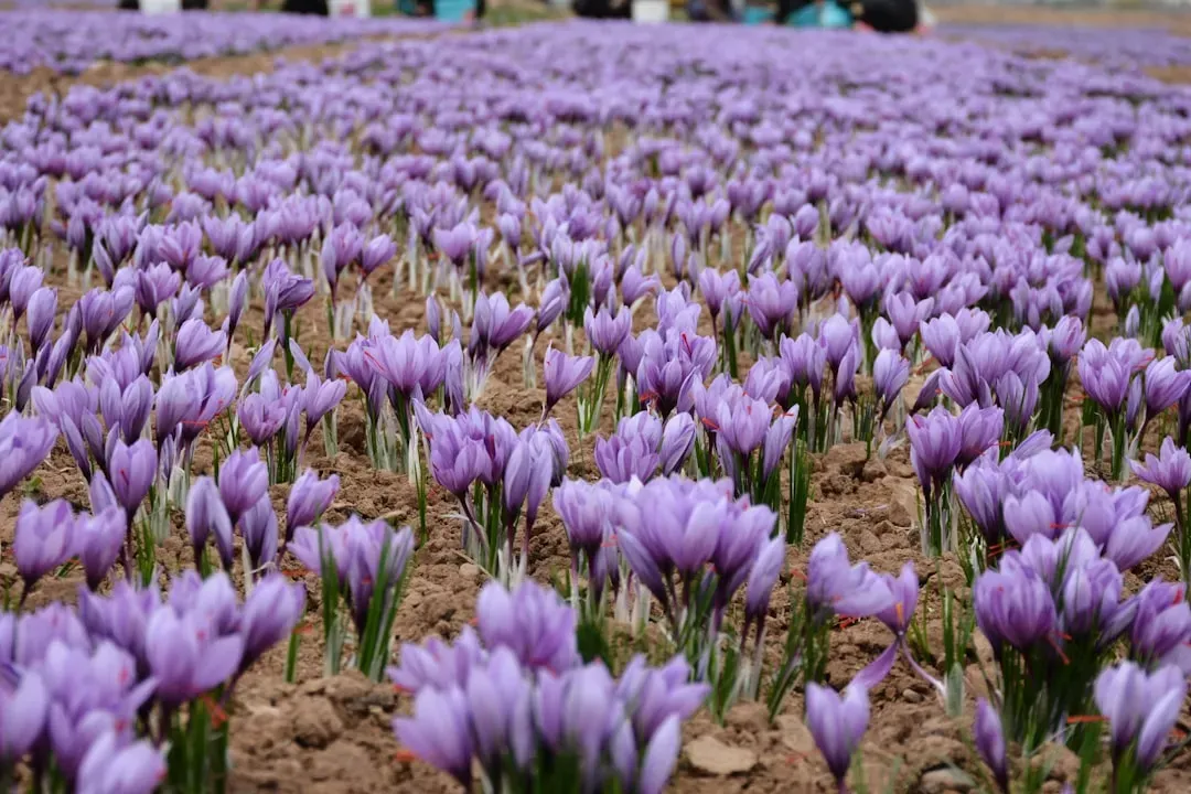 The Astonishing Labor Behind Every Thread (Image Credits: Unsplash)