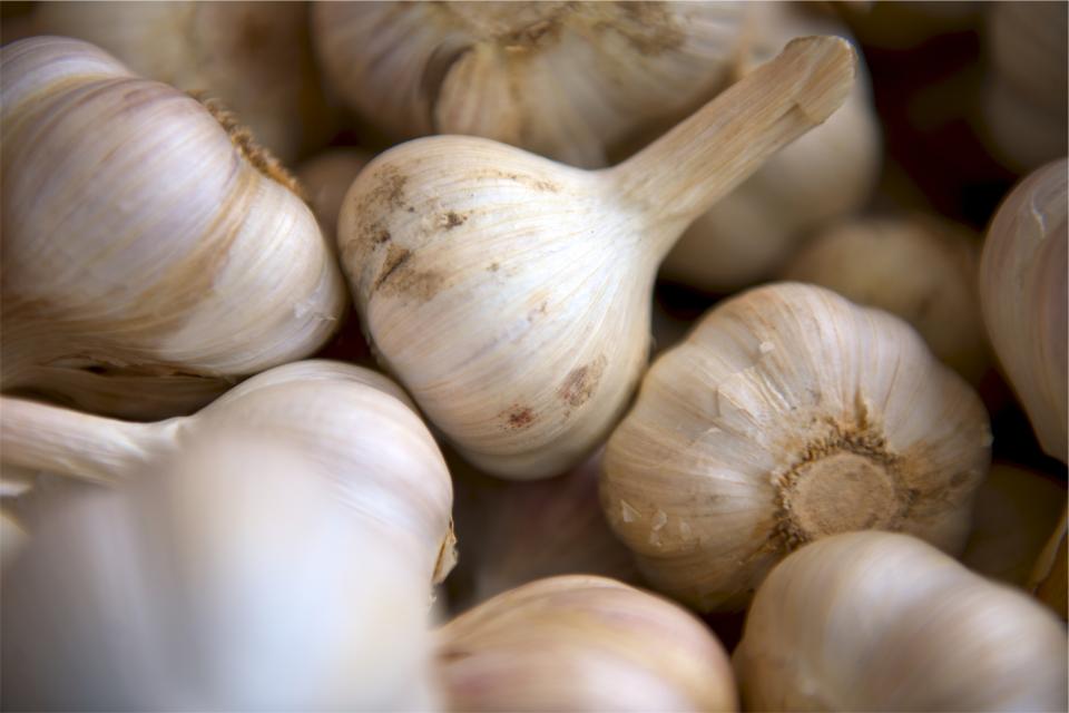 Garlic (image credits: stocksnap)