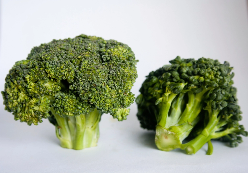 10. Broccoli: The Cancer-Fighting Champion (image credits: rawpixel)