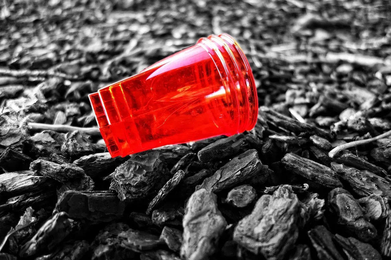 Those Red Cups Were the Best (Image Credits: Pixabay)