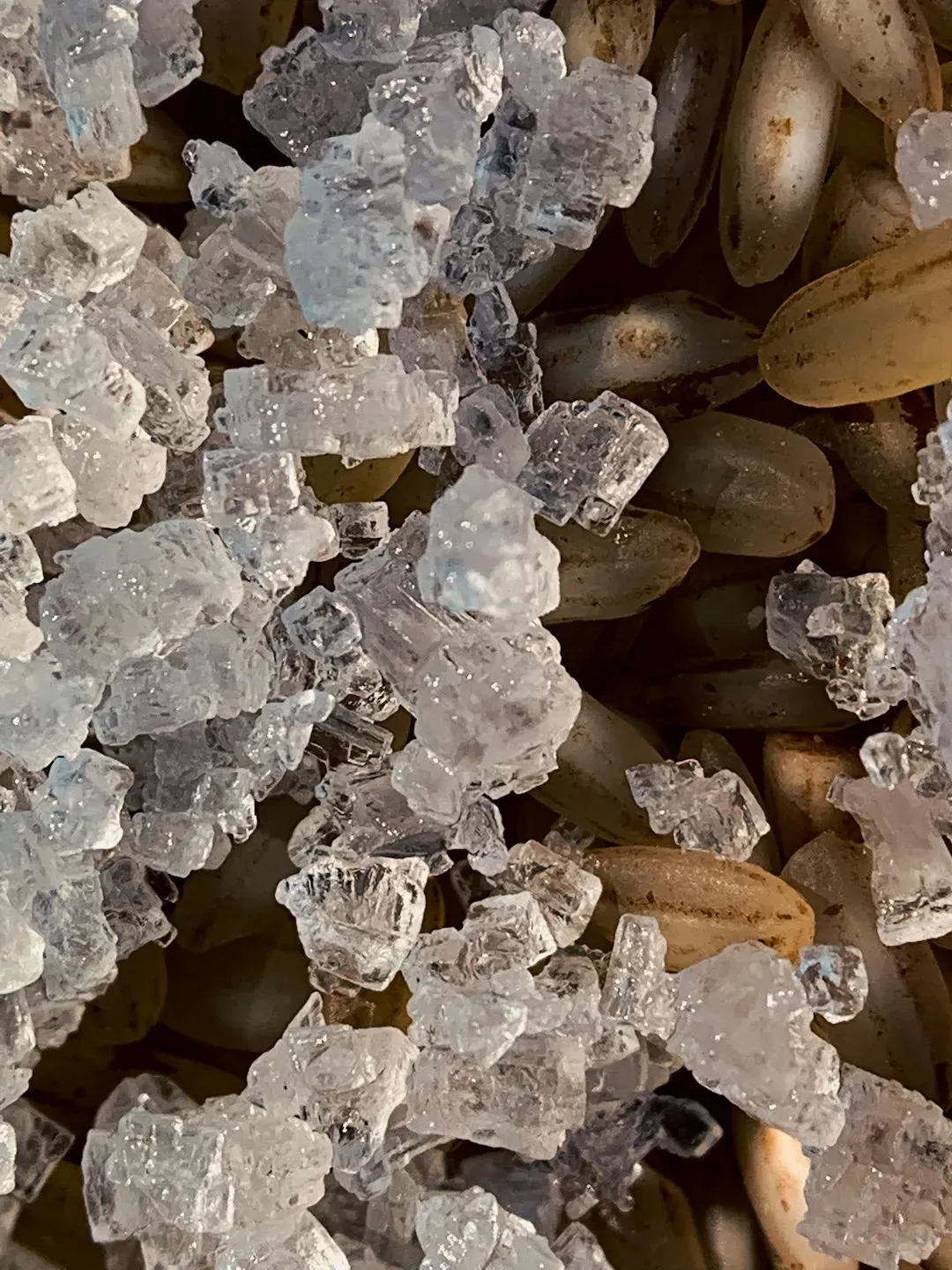 Building Saltiness Without Overloading Sodium (Image Credits: Unsplash)