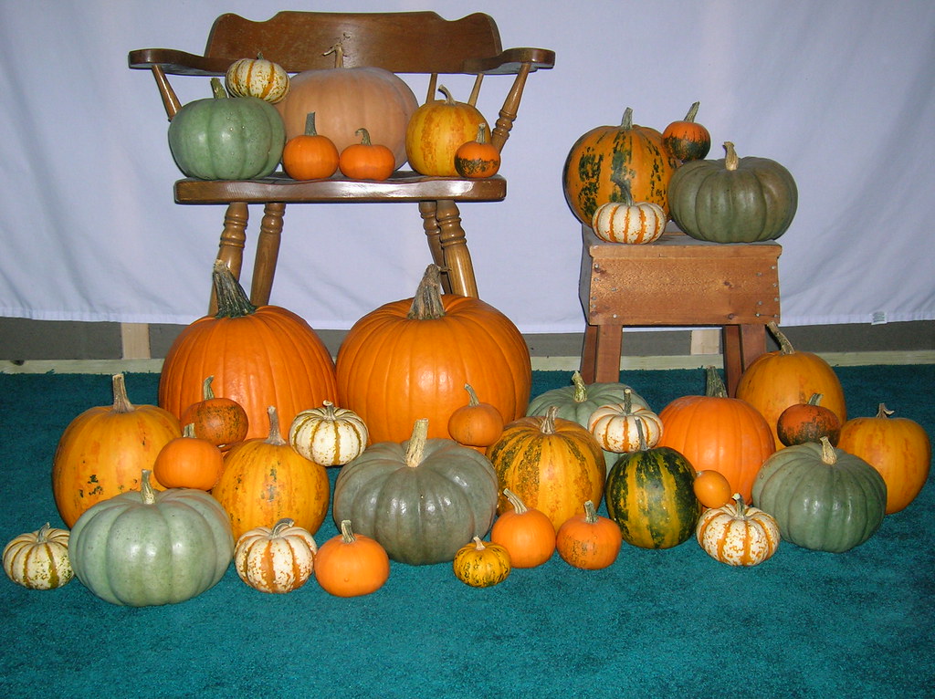 Eliminating Entire Food Groups Without Guidance (image credits: flickr)