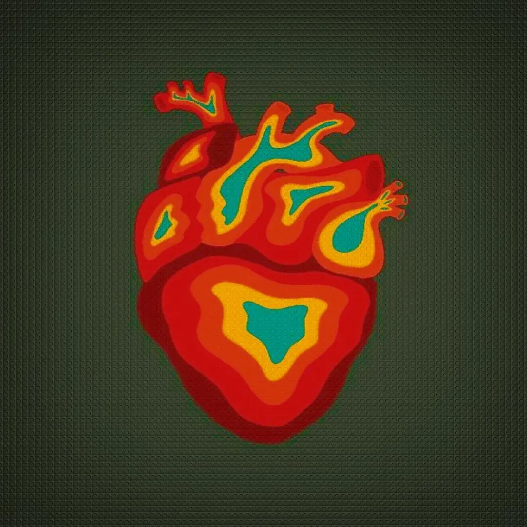 Hydration and the Cardiovascular System (Image Credits: Unsplash)