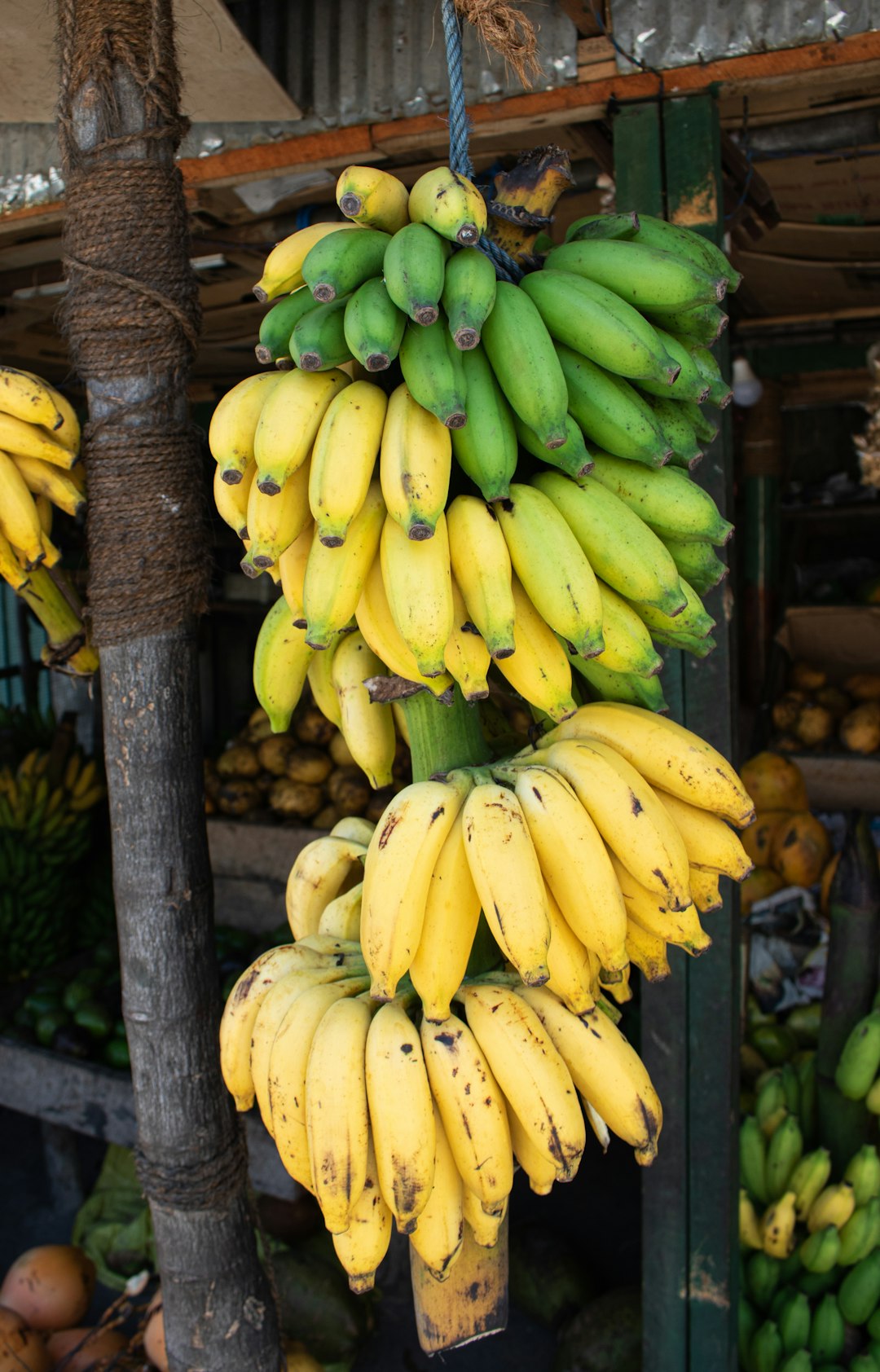 Bananas: Nature's Potassium Pills (image credits: unsplash)