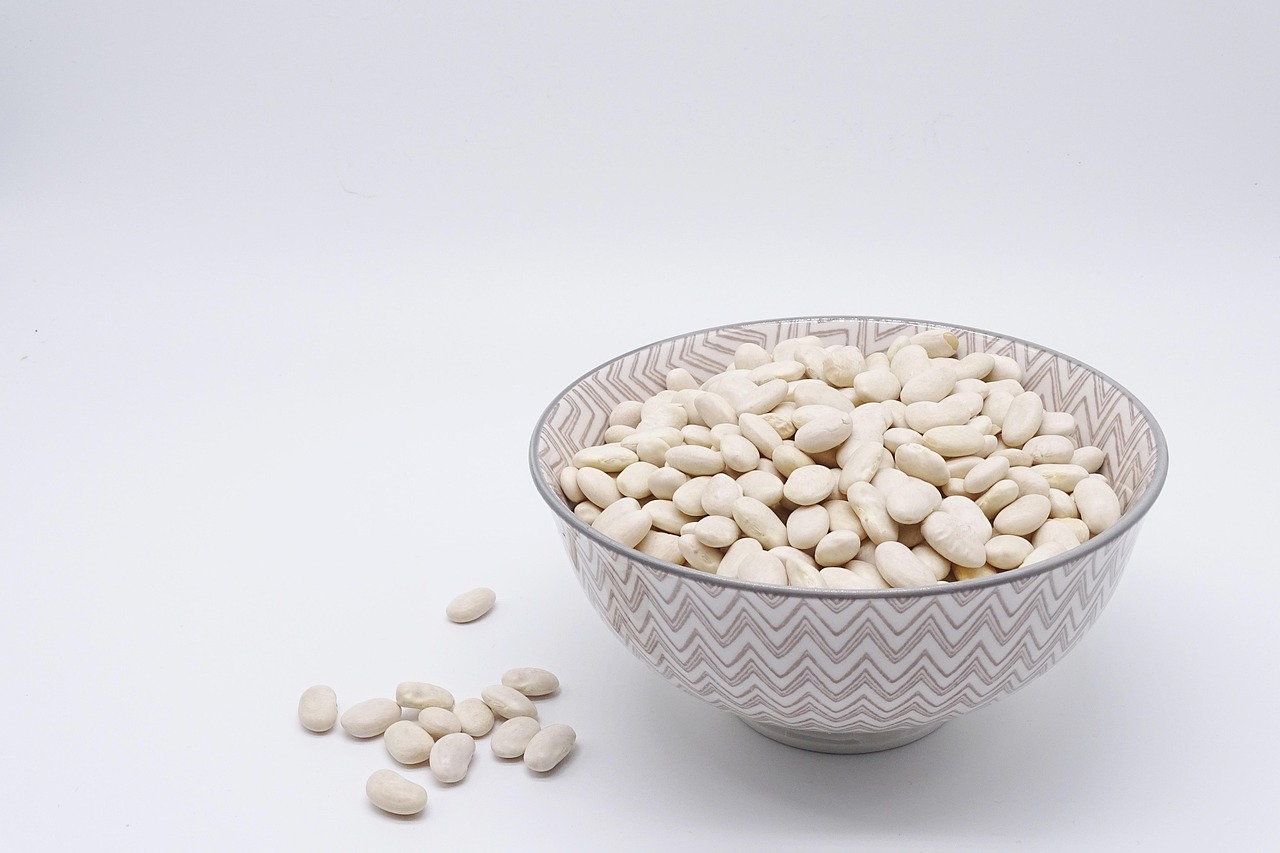 Navy Beans: The Fiber Powerhouse (image credits: pixabay)