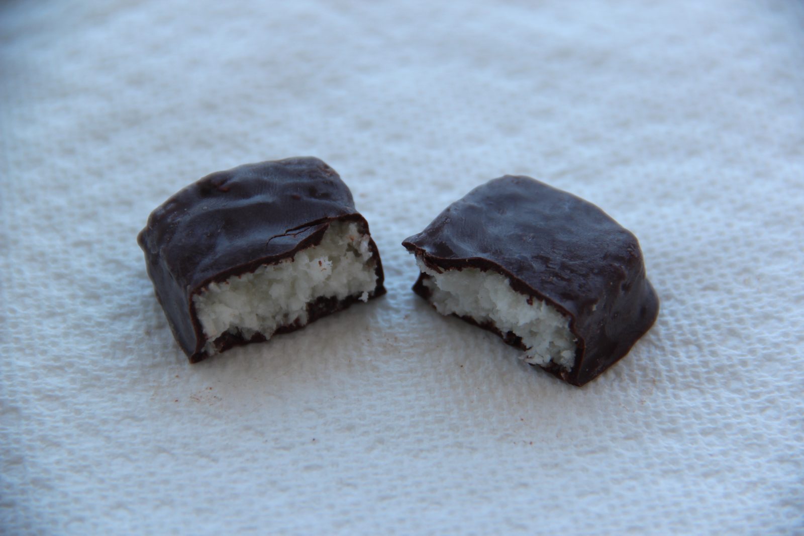 Coconut Grove - The Bittersweet Beauty (Image Credits: Wikimedia)