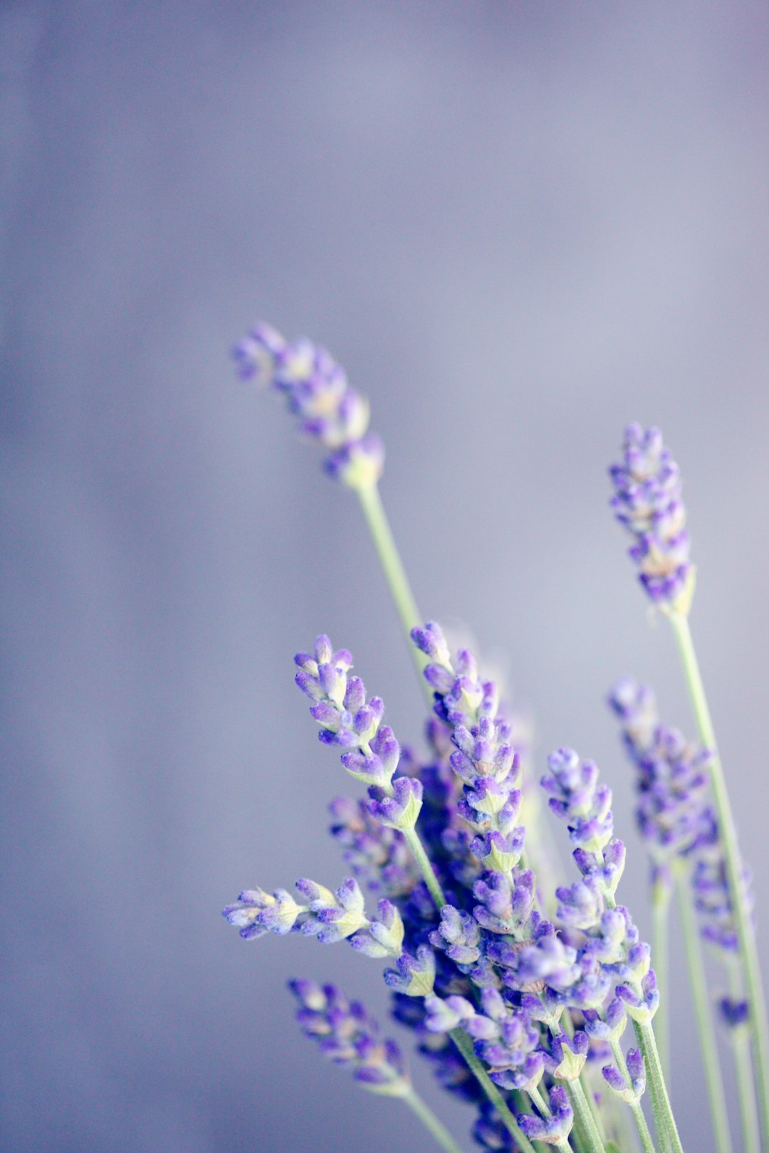 Unexpected Umami Boosts (image credits: unsplash)