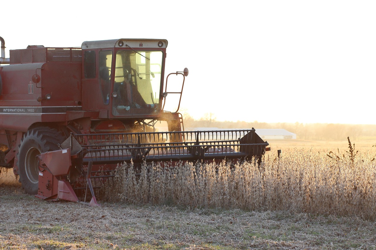 Soybeans: The Heartbreak of a Major Export (image credits: pixabay)