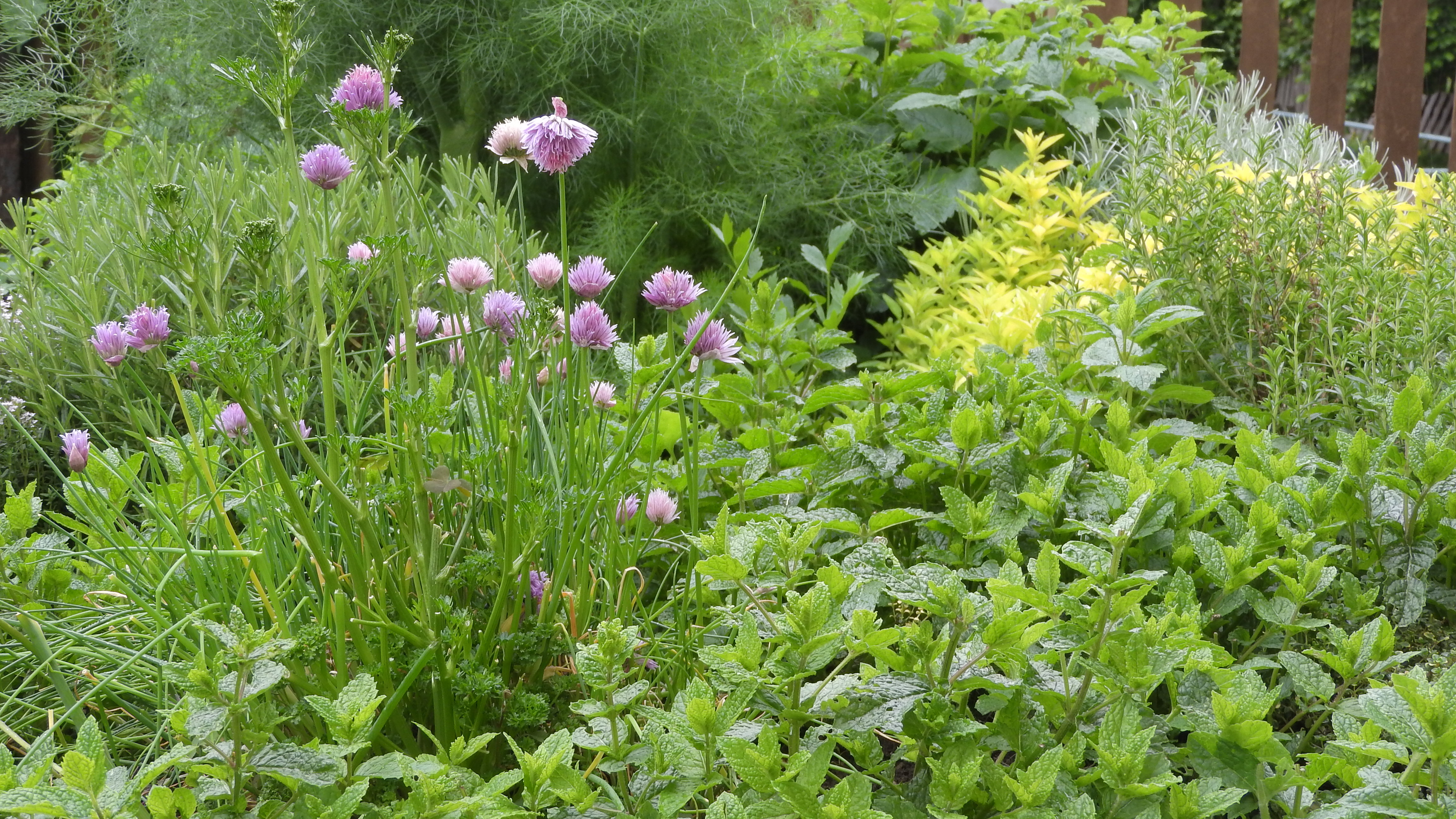 9. Herbs Are Added at the Right Time (image credits: wikimedia)