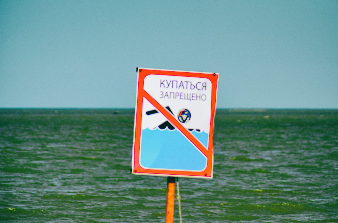 Xylitol - The Sugar Substitute Death Trap (image credits: unsplash)