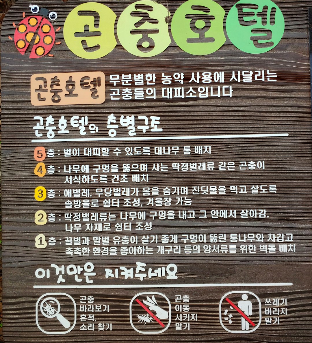 Chile’s Bold Food Labeling Laws (image credits: unsplash)