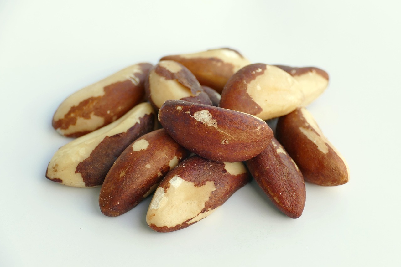 Almond and Brazil Nut Blends (image credits: pixabay)