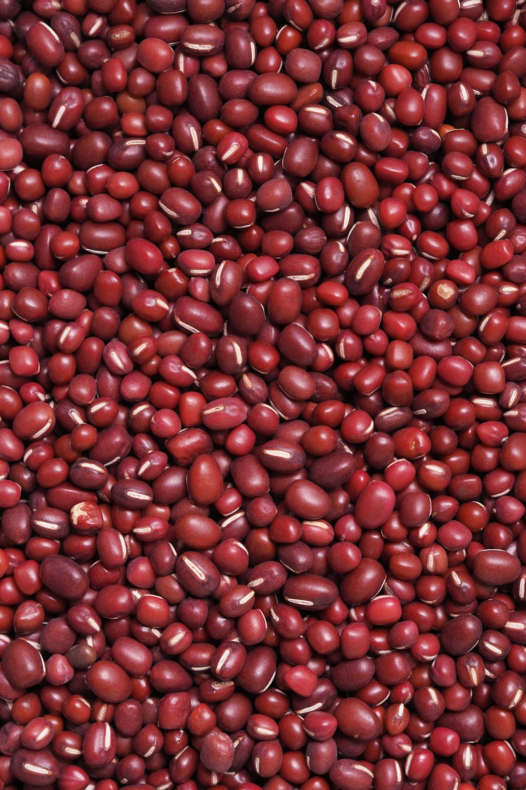 Adzuki Beans: The Sweet Surprise (image credits: unsplash)