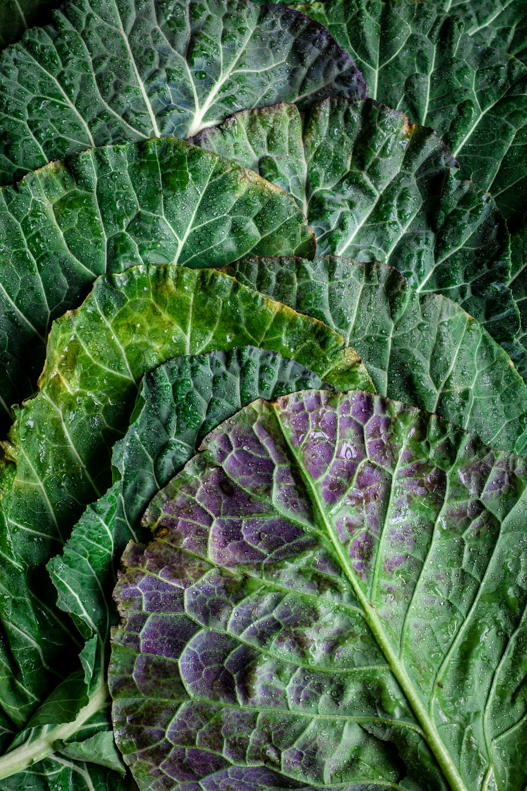 Dealing With Texture Troubles (image credits: unsplash)