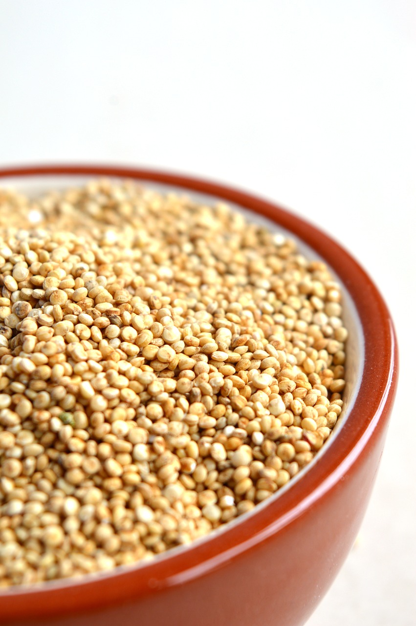 Quinoa (image credits: pixabay)