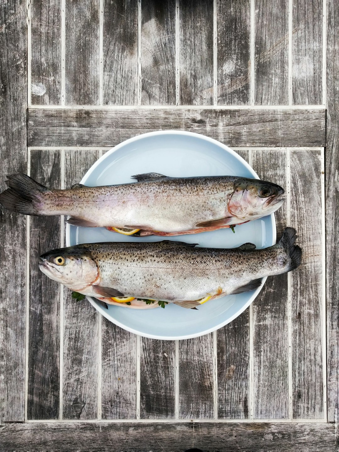 Fatty Fish: Omega-3s for Cognitive Resilience (image credits: unsplash)