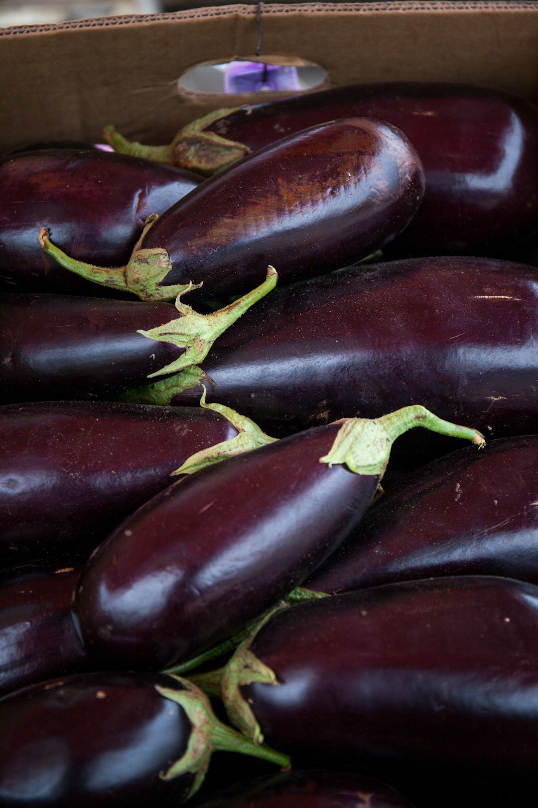 The Purple Powerhouse That Absorbs More Than Just Oil (image credits: unsplash)