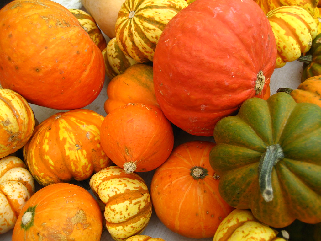 Winter Squash - The Seasonal Vision Protector (image credits: flickr)