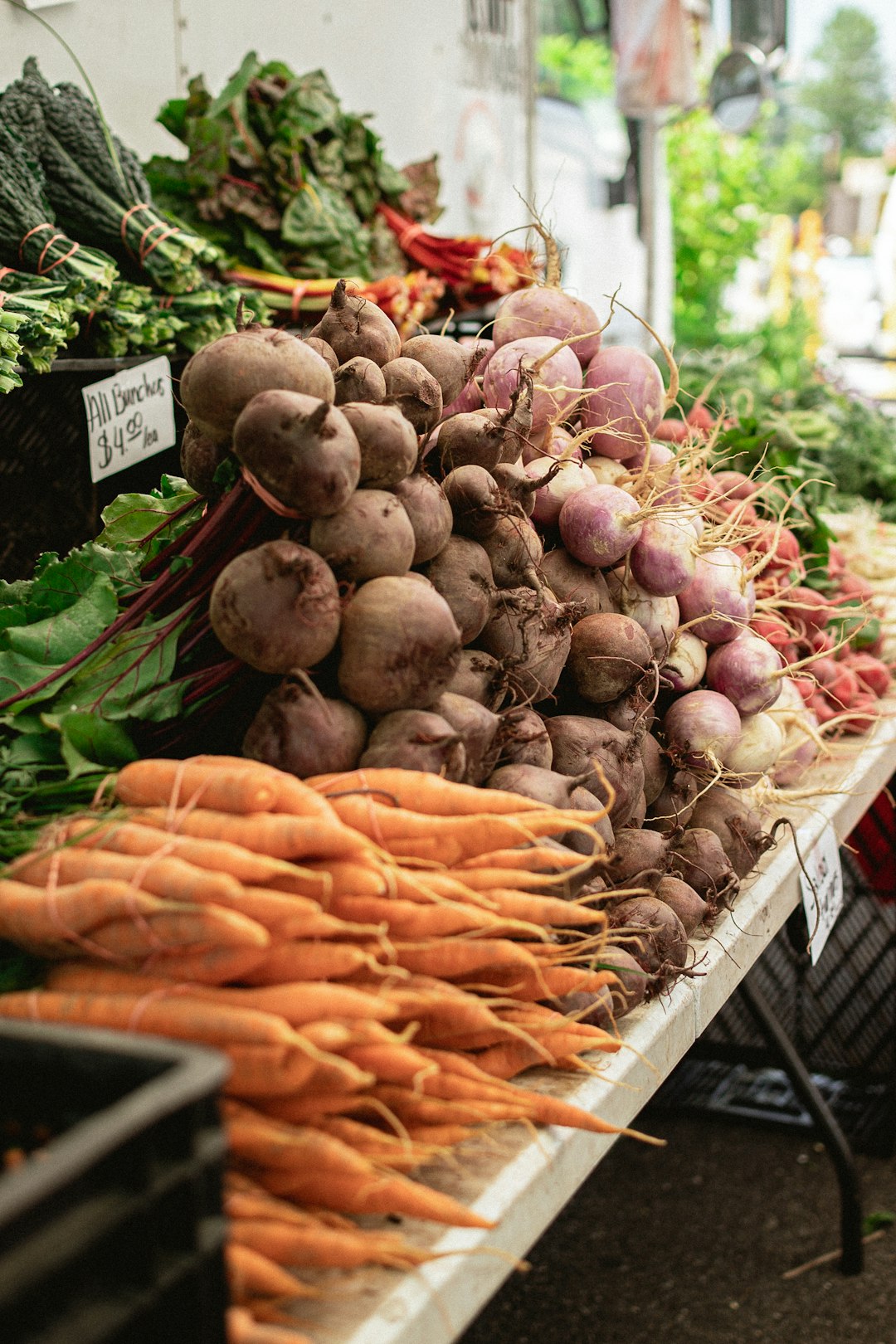 The Surprising Survival Champions in Your Kitchen (image credits: unsplash)