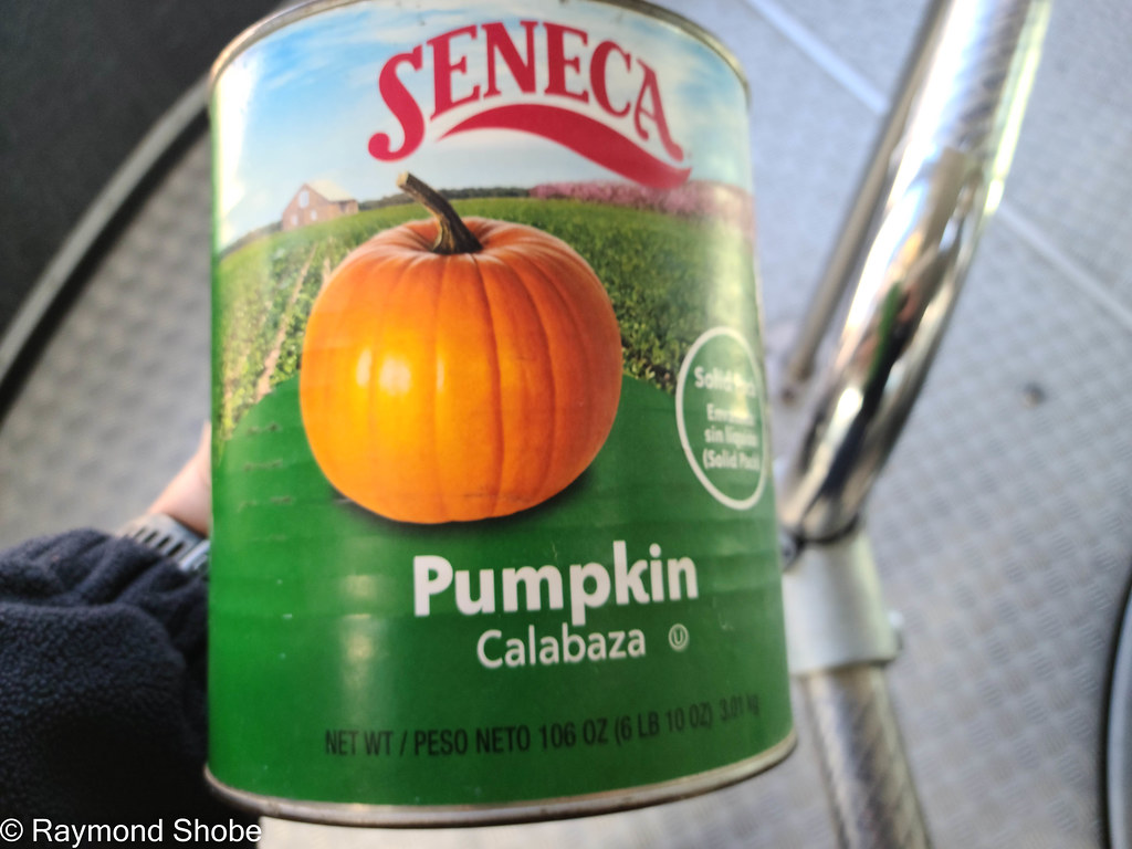 Pumpkin: Beta-Carotene Goldmine (image credits: flickr)