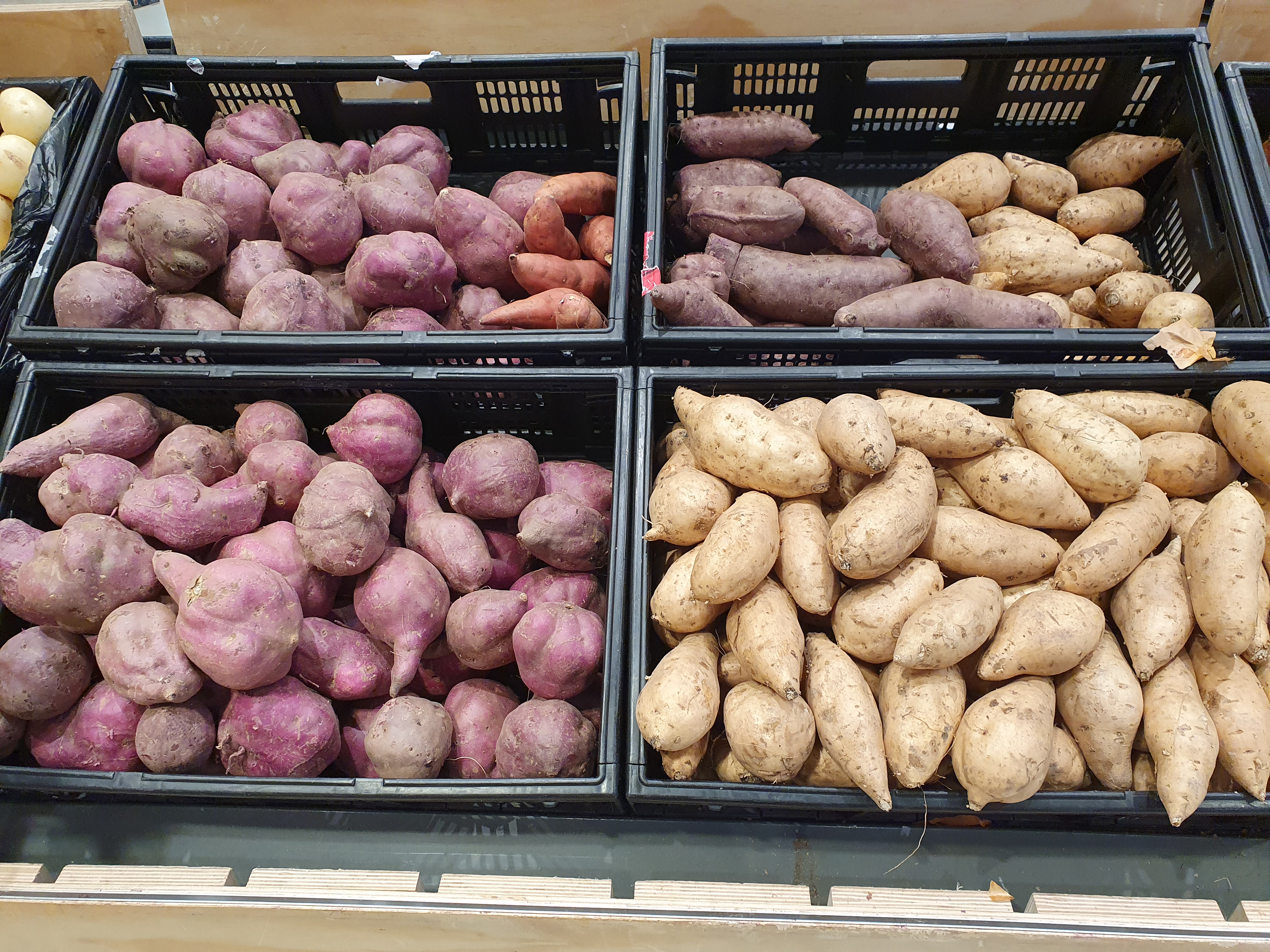 Sweet Potatoes: Nature’s Energy Powerhouse (image credits: wikimedia)