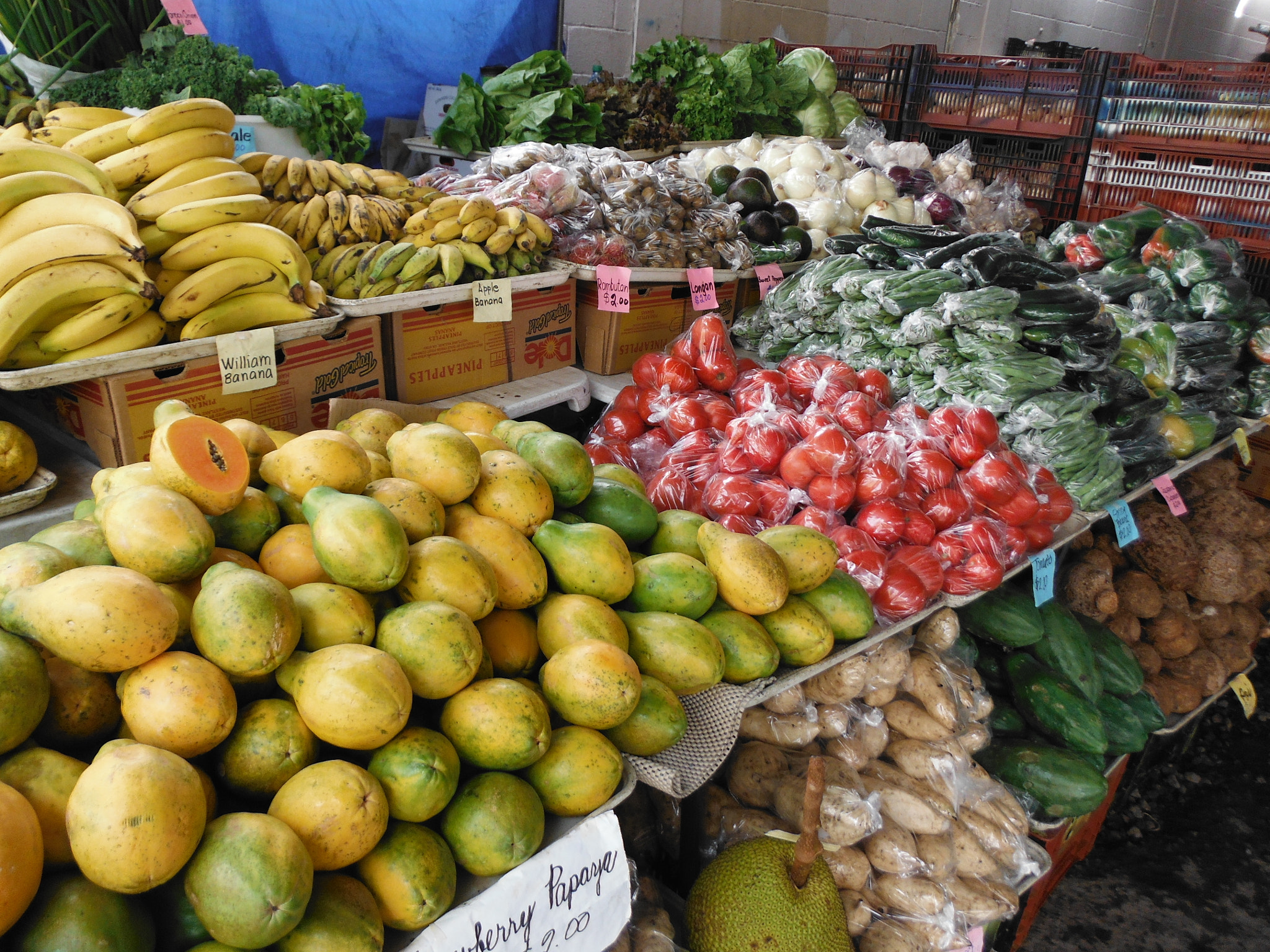 Germany and France Maintain Relatively Low Consumption (image credits: wikimedia)
