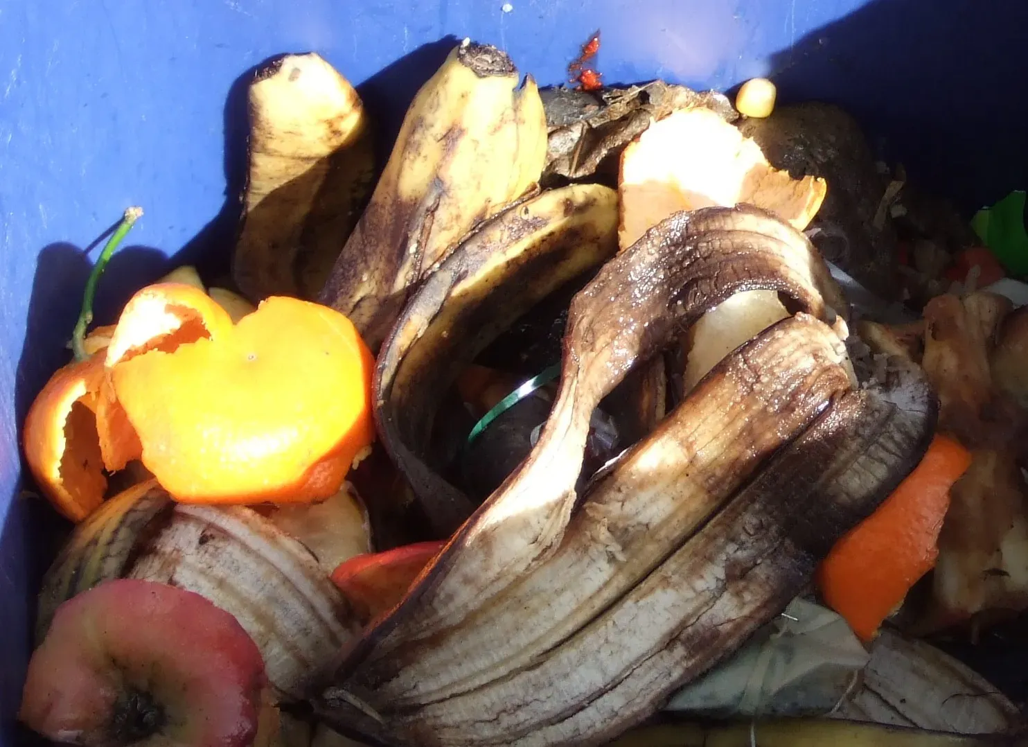 The Hidden Climate Benefit of Eating Your Leftovers (Image Credits: Wikimedia)