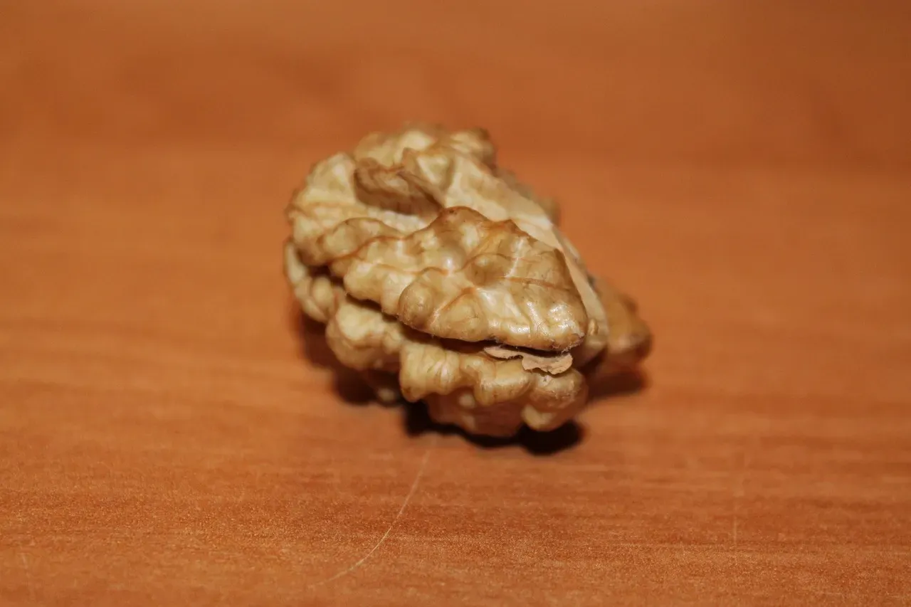 6. Walnuts: The Nut That Neuroscientists Actually Get Excited About (Image Credits: Pixabay)