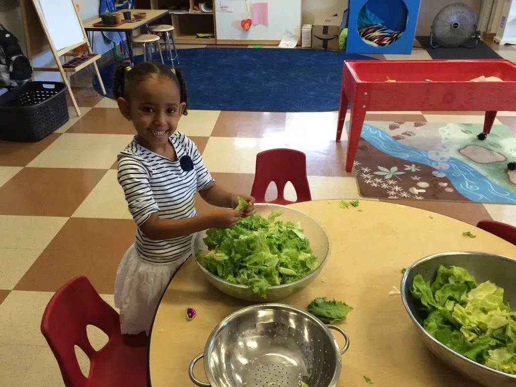 Farm-to-Table Movements Made Heritage Methods Necessary Again (Seattle Parks & Recreation, Flickr, CC BY 2.0)