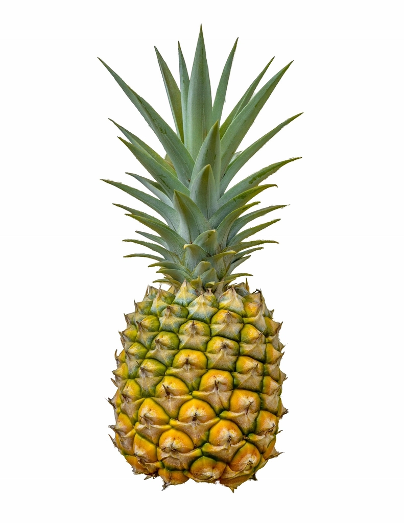 Pineapple: The Tropical Immune Booster (image credits: rawpixel)