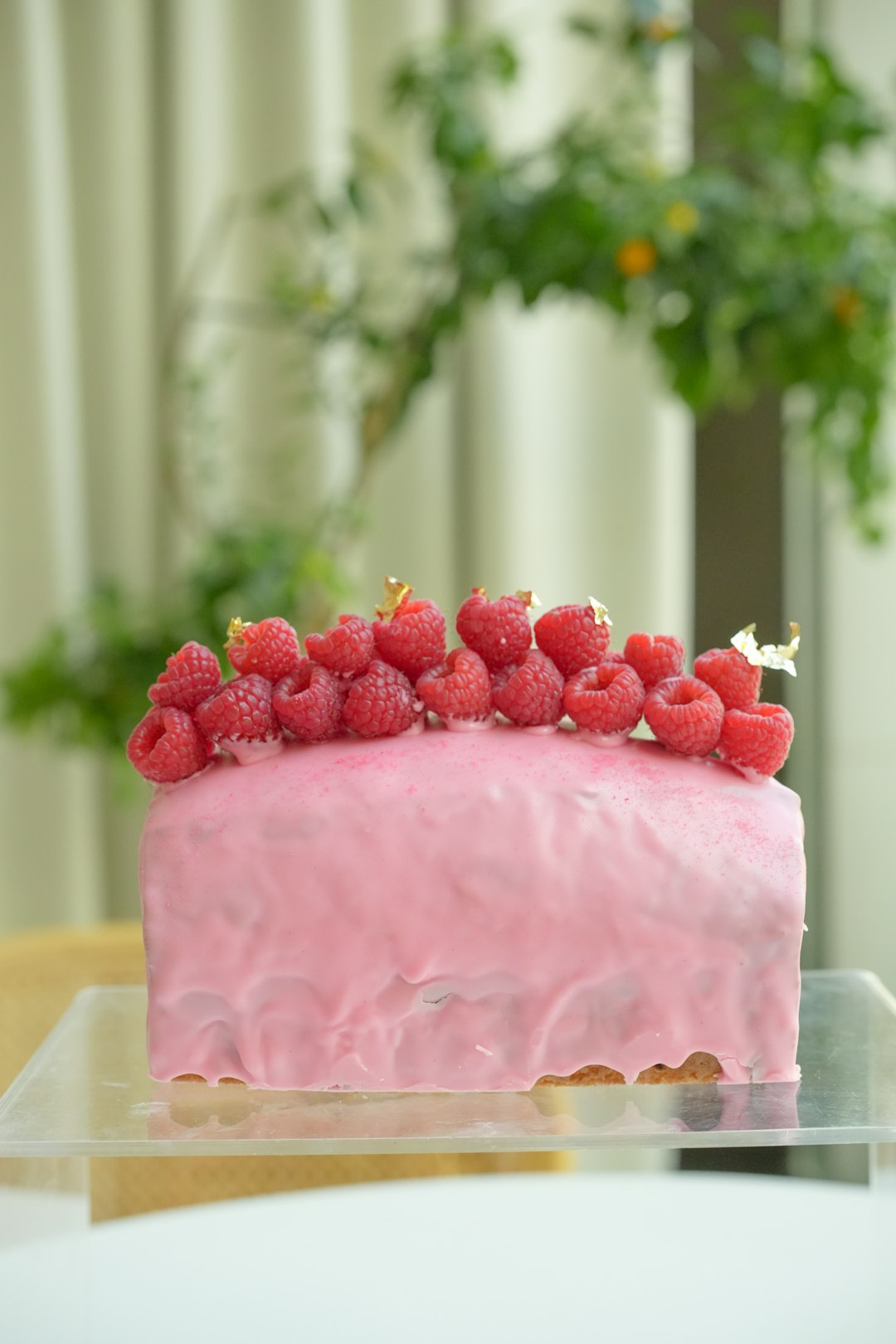 Pink Champagne Cake's Rosy Romance (Image Credits: Unsplash)
