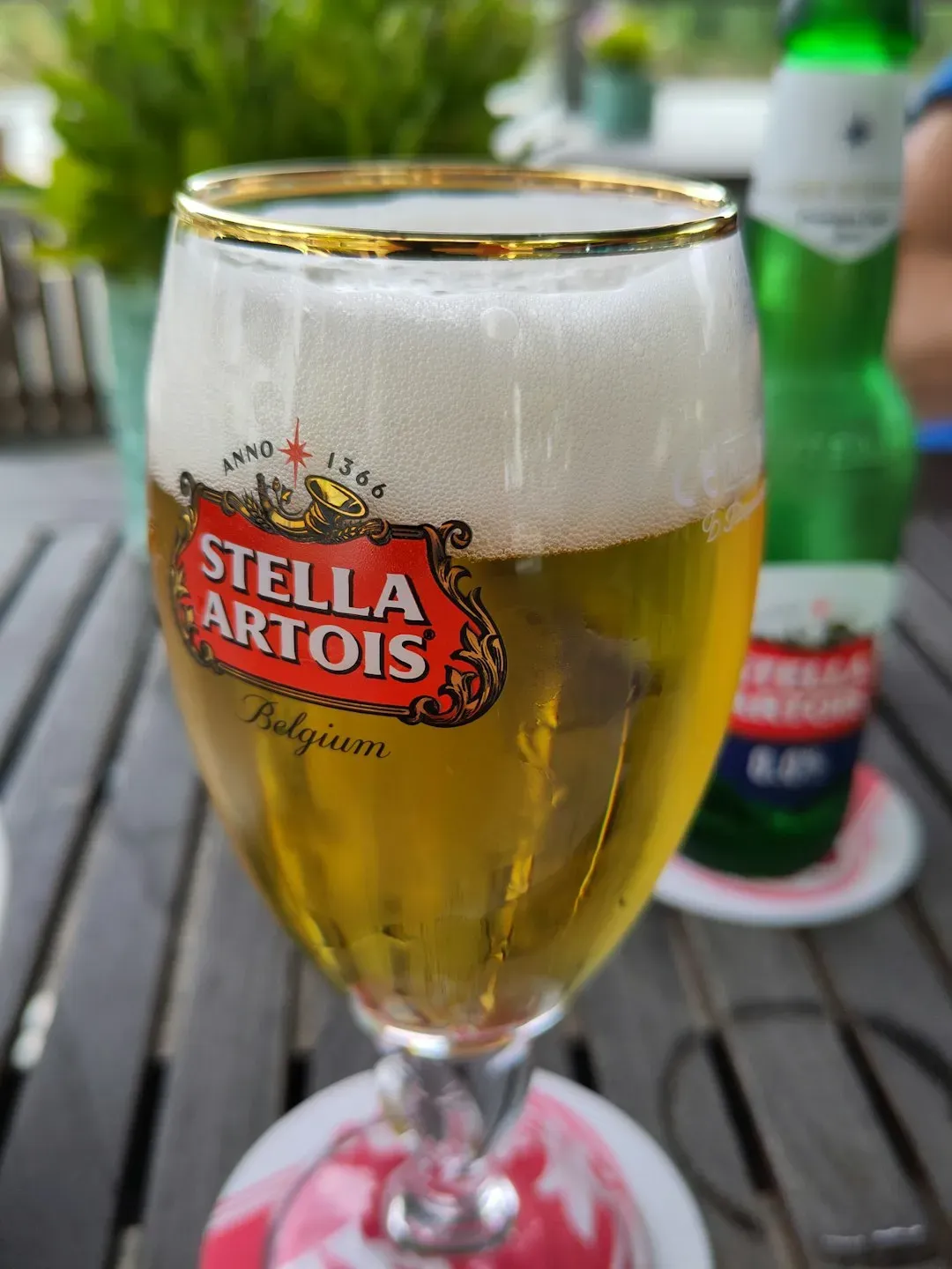 Stella Artois: Belgium's Gift to the World Since 1366 (Image Credits: Unsplash)