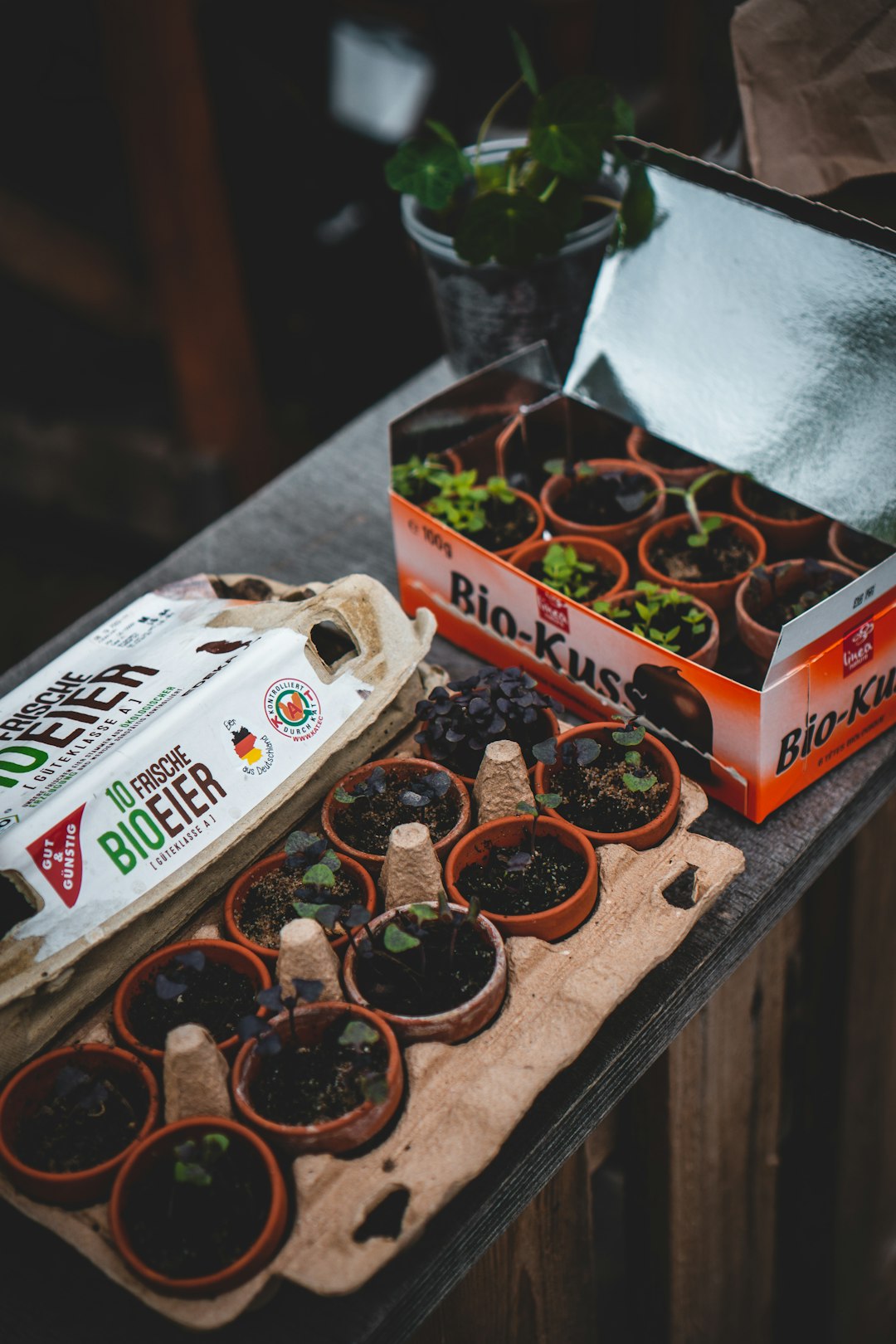 Nutrient Differences: Minor or Inconsistent (image credits: unsplash)