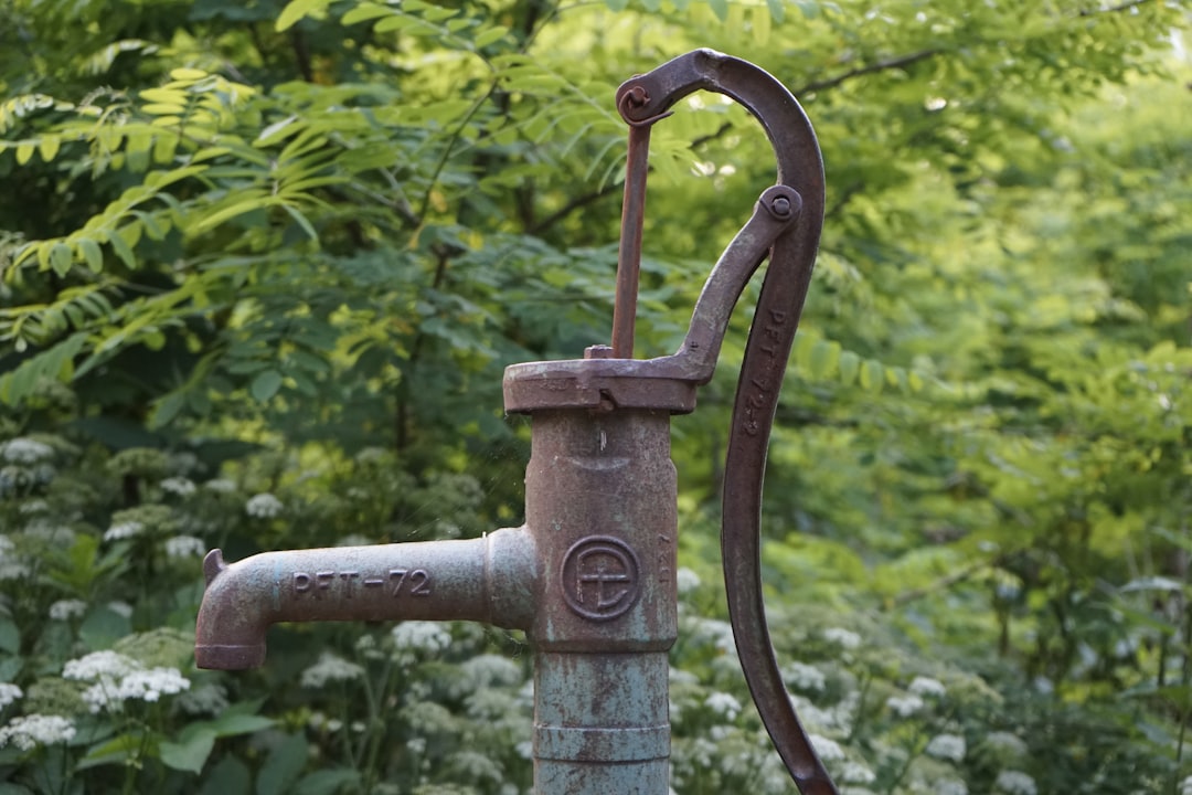 Groundwater Depletion (image credits: unsplash)