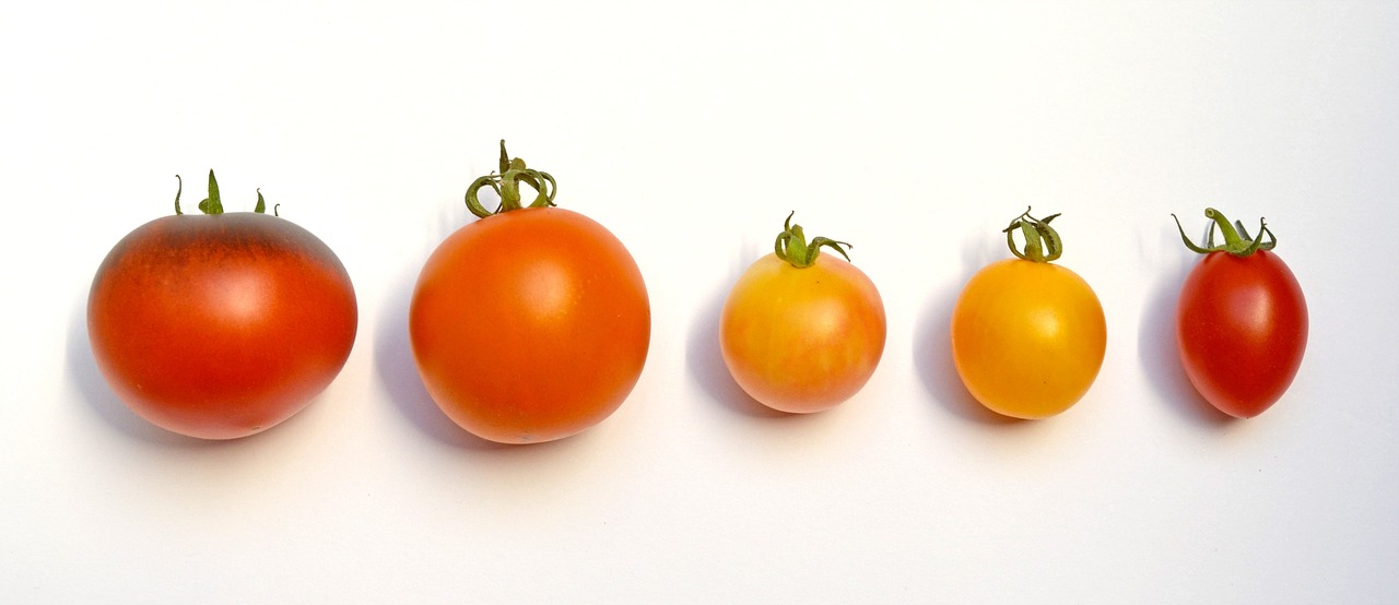 Nightshade Vegetables (image credits: pixabay)