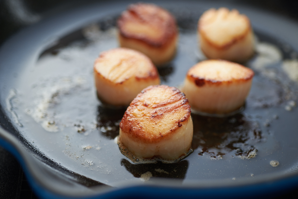 Scallops: The Immune System Booster (image credits: stocksnap)