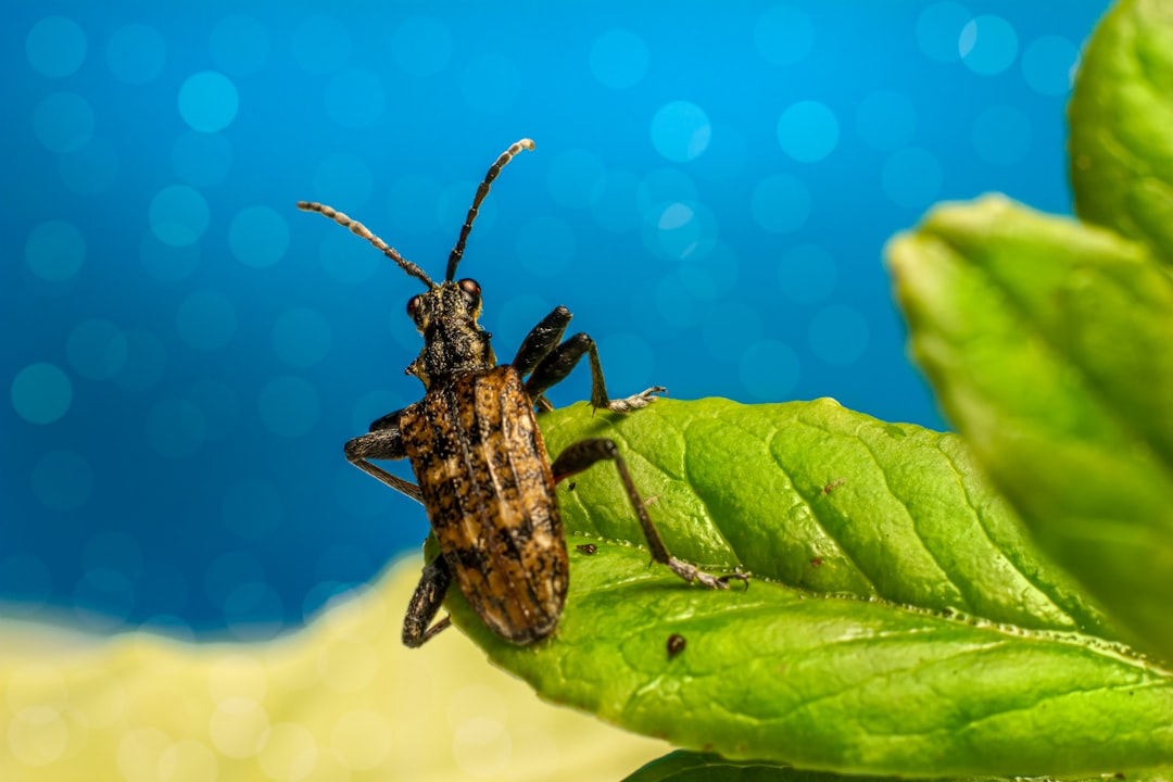 Is It Safe? Health and Allergen Concerns (image credits: unsplash)