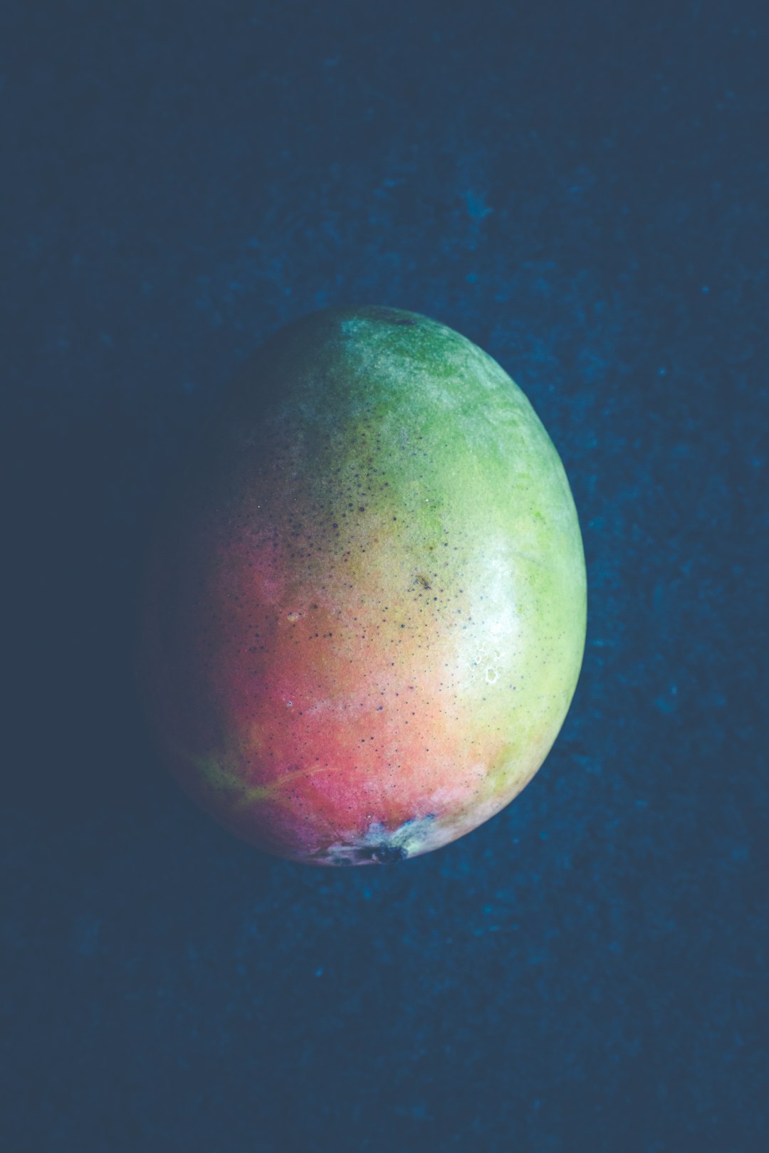The Werewolf Diet - Howling at the Moon for Weight Loss (image credits: unsplash)