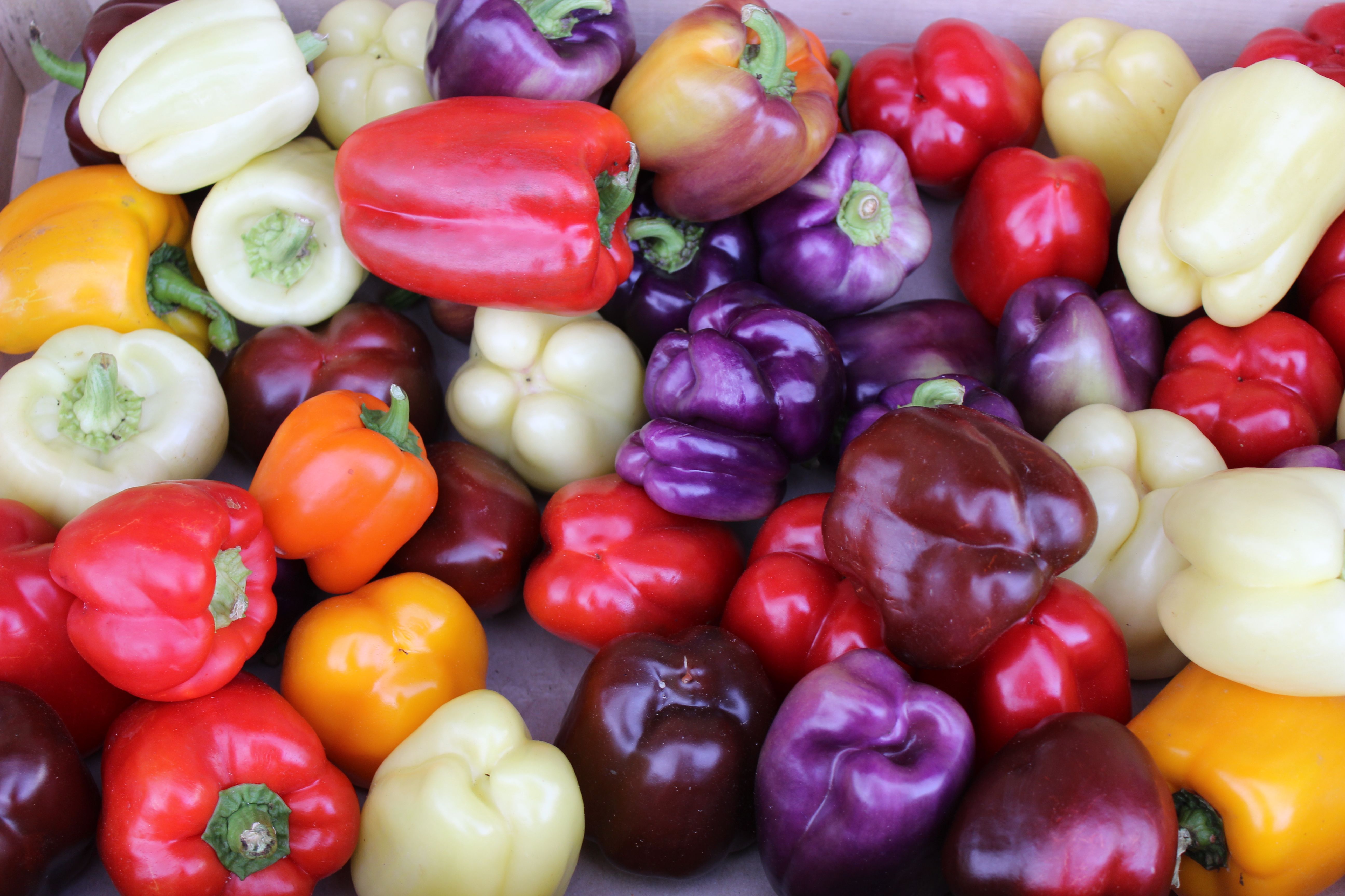 Bell Peppers: Colorful Hydration (image credits: wikimedia)