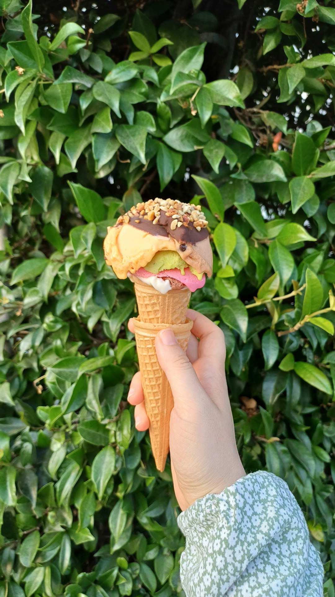 Rainforest Crunch (image credits: unsplash)