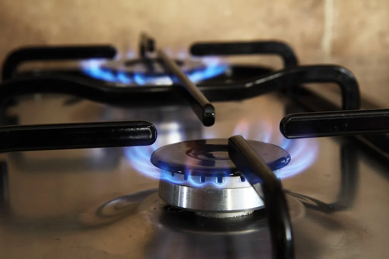 Energy Efficiency Makes Slow Cooking Economical (Image Credits: Pixabay)