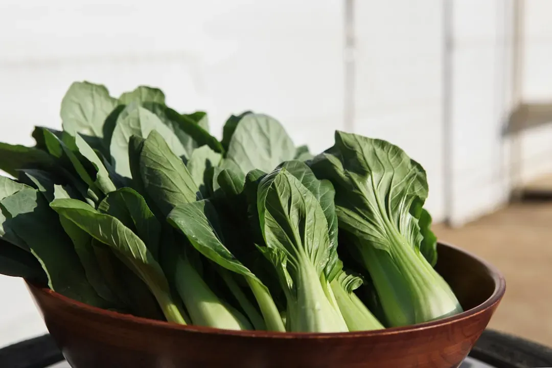 Bok Choy: The Versatile Asian Green (Image Credits: Unsplash)