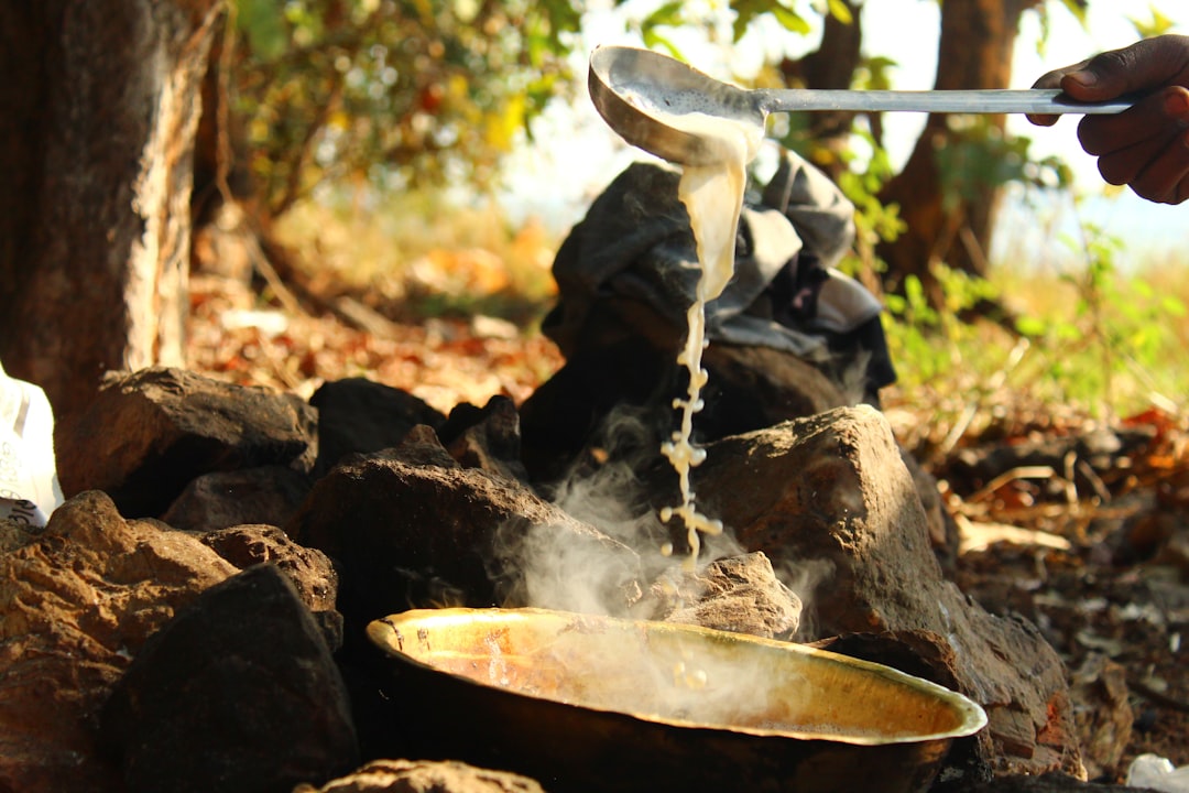 The Water Waste Catastrophe (image credits: unsplash)