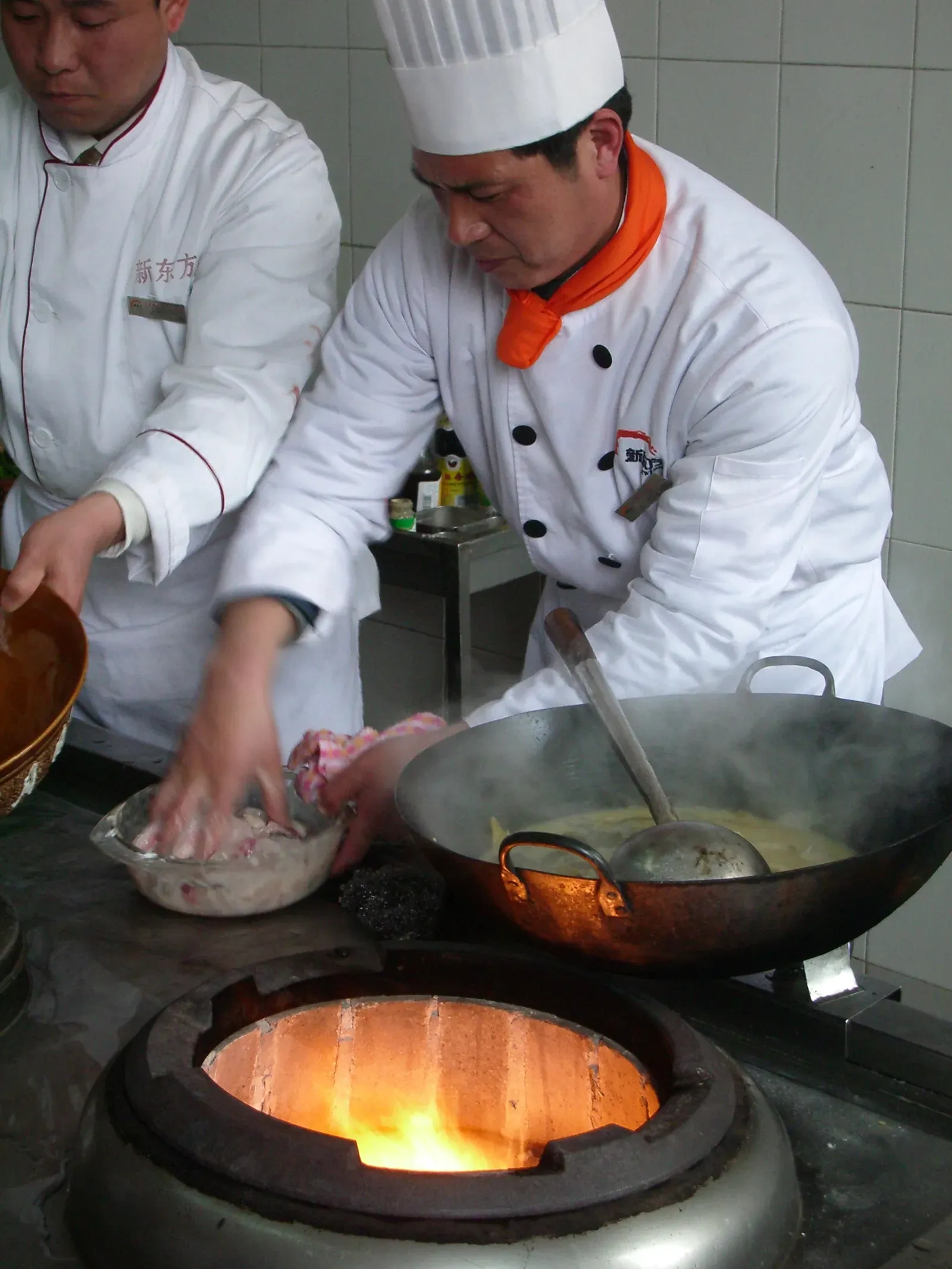 Control the Heat: Understanding Temperature Makes or Breaks Your Dish (Image Credits: Wikimedia)