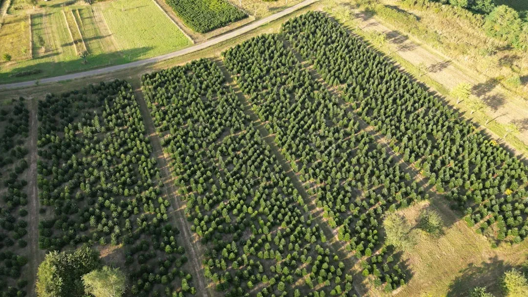 The Deforestation Nobody Talks About at Brunch (Image Credits: Unsplash)