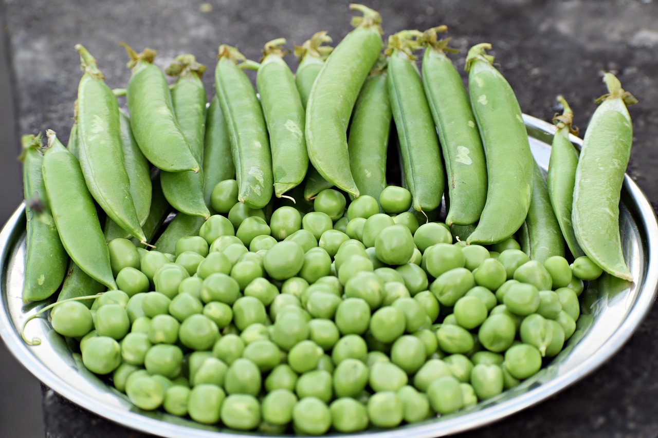 7. Peas: The Green Protein (image credits: pixabay)
